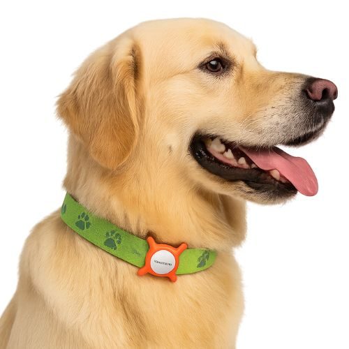 Untitled design (19)